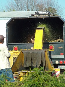 tree grinder,